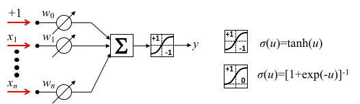 assets/neurona.jpg