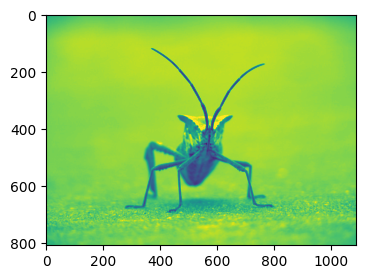 ../../_images/01_matplotlib_notebooks_08_manejo_de_imagenes_11_0.png