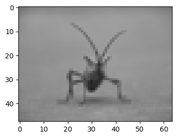 ../../_images/01_matplotlib_notebooks_08_manejo_de_imagenes_13_0.png