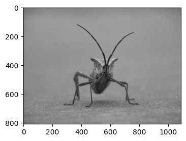 ../../_images/01_matplotlib_notebooks_08_manejo_de_imagenes_4_0.png