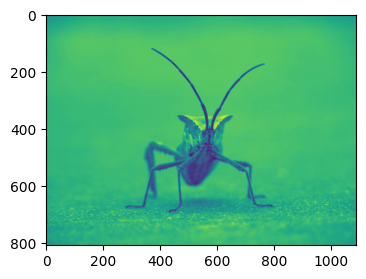 ../../_images/01_matplotlib_notebooks_08_manejo_de_imagenes_6_0.png