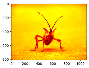 ../../_images/01_matplotlib_notebooks_08_manejo_de_imagenes_7_0.png
