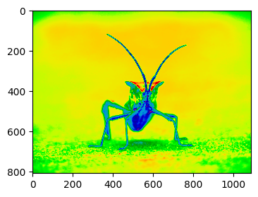 ../../_images/01_matplotlib_notebooks_08_manejo_de_imagenes_8_0.png