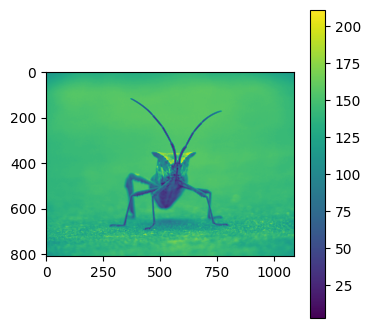 ../../_images/01_matplotlib_notebooks_08_manejo_de_imagenes_9_0.png